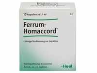 Ferrum Homaccord Ampullen 10 St