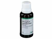 Phosphor Homaccord Tropfen 30 ml