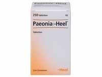 Paeonia Comp.heel Tabletten 250 St