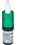 Cineraria maritima D 3 Augentropfen 10 ml