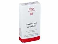 Carum Carvi Zäpfchen 10x2 g Suppositorien