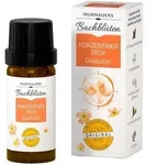 Bachbl&uuml;ten Murnauers Konzentrier Dich Globulini 10 g Globuli