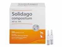 Solidago Compositum ad us.vet.Ampullen 100 St Ampullen