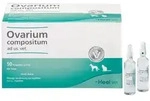 Ovarium Compositum ad us.vet.Ampullen 50x5 ml Ampullen
