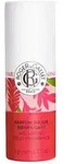 R&G Gingembre Rouge Parfumstick 5 g Stifte
