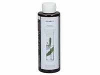 Korres Shampoo Laurier & Echinacea ok Nlfrende 250 ml