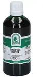 Cimicifuga Tropfen 100 ml