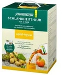 Schlankheitskur Apfel-Ingwer Bio Schoenenberger 1 St Saft