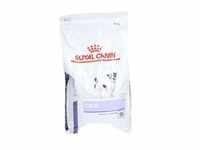 Royal Canin Expert Calm Small Dogs 4 kg