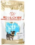 Royal Canin BHN Yorkshire Terrier Puppy 1.5kg 1,5 kg Futter