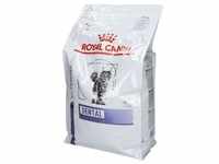 Royal Canin Feline Dental 3 kg Pellets