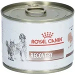 Royal C Recovery Pate 195G 195 g Futter