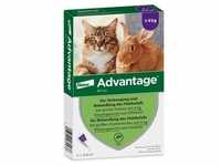 Advantage 80 mg f.gr.Katzen u.gr.Zierkaninchen 4x0,8 ml Lösung