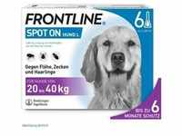 Frontline Spot on H 40 Lösung f.Hunde 6 St Einzeldosispipetten