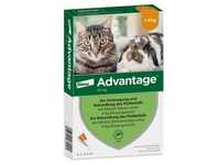 Advantage 40 mg Lsg.f.kl.Katzen/kl.Zierkaninchen 4x0,4 ml Lösung
