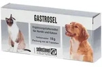 Gastrosel (6622) 30 St Tabletten