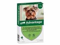 Advantage 40 Lösung f.Hunde bis 4 kg St