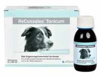 Reconvales Tonicum für Hunde 6x90 ml Tonikum