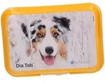 DIA TAB Reiseapo.Kautabletten f.Hunde/Katzen 20x5,5 g Kautabletten