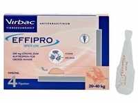 Effipro 268 mg Pip.Lsg.z.Auftropf.f.gr.Hunde 4 St Lösung