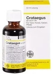 Crataegus Dilution vet. 50 ml