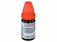Phosphorus LM Xviii Dilution 10 ml