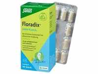 Floradix Eisen plus B12 vegan Kapseln 40 St