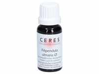 Ceres Filipendula ulmaria Urtinktur 20 ml Tropfen