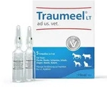 Traumeel LT ad us.vet.Ampullen 5x5 ml Ampullen