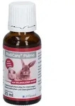 Rodicare Pulmo fl&uuml;.f.Kleinnag./Meerschw./Zwergkan. 20 ml Fl&uuml;ssigkeit