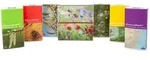 Taschent&uuml;cher Motiv Heuschnupfen 240x10 St T&uuml;cher
