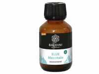 Baldini Saunaessenz blue mountain Bio/demeter Öl 100 ml