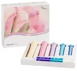 Vagiwell Dilators Premium 5 Gr&ouml;&szlig;en St Sonstige