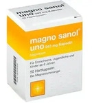 Magno Sanol uno 243 mg Kapseln 50 St Hartkapseln