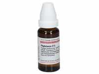 Phytolacca D 5 Dilution 20 ml