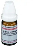 Syzygium Jambolanum D 6 Globuli 10 g