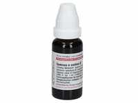 Quercus E Cortice Urtinktur 20 ml Dilution