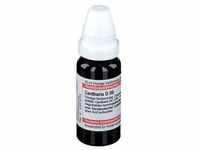 Cantharis D 30 Dilution 20 ml