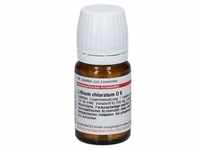 Lithium Chloratum D 6 Tabletten 80 St