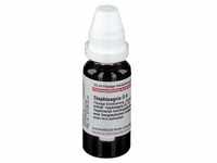 Staphisagria D 8 Dilution 20 ml
