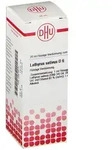 Lathyrus Sativus D 6 Dilution 20 ml