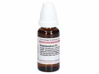 Rhododendron D 6 Dilution 20 ml