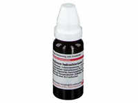 Apomorphinum Hydrochloricum D 12 Dilution 20 ml
