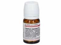 Caladium seguinum D 6 Tabletten 80 St