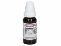 Marum Verum D 12 Dilution 20 ml