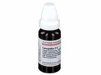 Colocynthis D 6 Dilution 20 ml