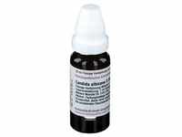 Candida Albicans D 30 Dilution 20 ml