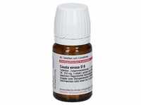 Cicuta Virosa D 6 Tabletten 80 St