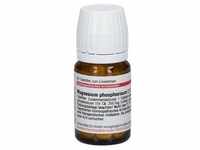 Magnesium Phosphoricum C 6 Tabletten 80 St