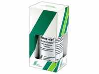 Sinus-Cyl Ho-Len-Complex Tropfen 30 ml
